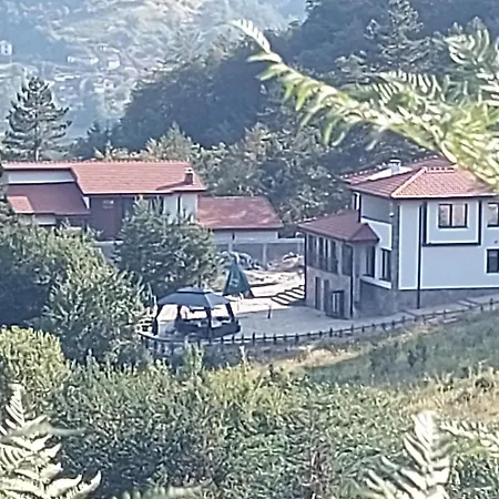 синята врана * Mostovo