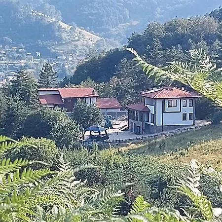 Holiday home синята врана *